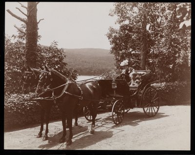 Eine Frau und ein Hund in einer Pferdekutsche, 1899 von Byron Company